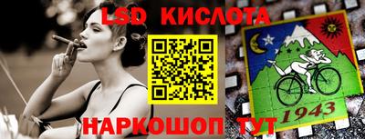 индика Бийск