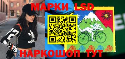 индика Бийск
