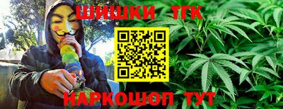индика Бийск