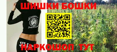 индика Бийск