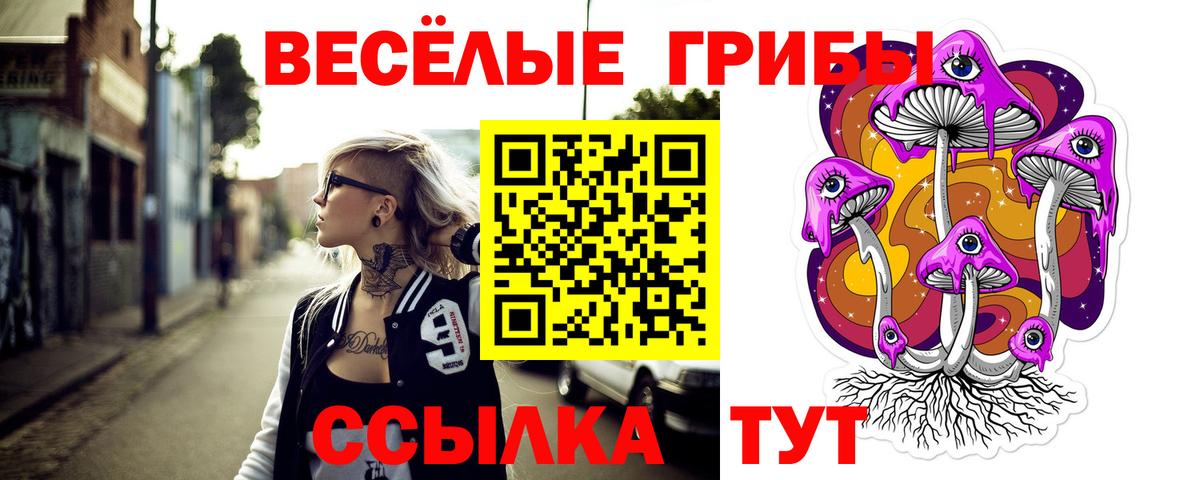 Псилоцибиновые грибы ЛСД Гуково