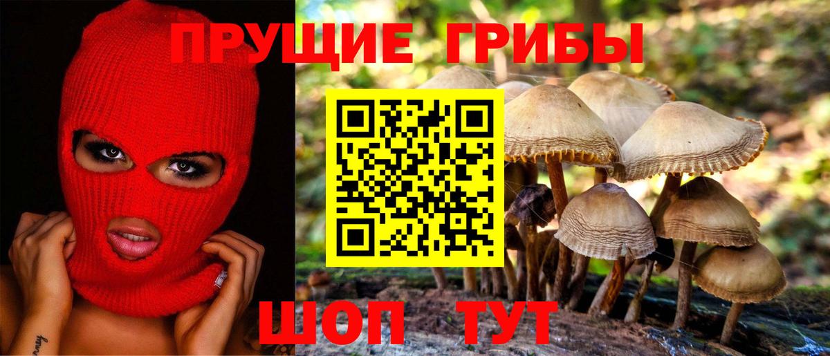 Гуково  Галлюциногенные грибы прущие грибы  Вход с VPN 